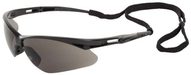 Rental store for SAFETY GLASSES NEMESIS Gray Anti-Fog in Paris TN