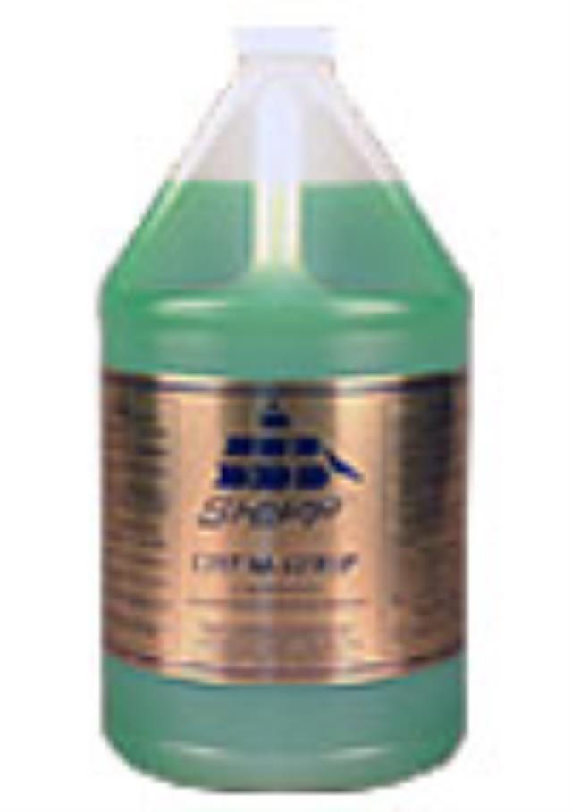 Rental store for FLOOR STRIPPER, CHEMSTRIP in Paris TN