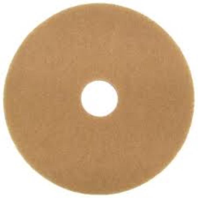 Rental store for PAD, 20  THICK TAN in Paris TN