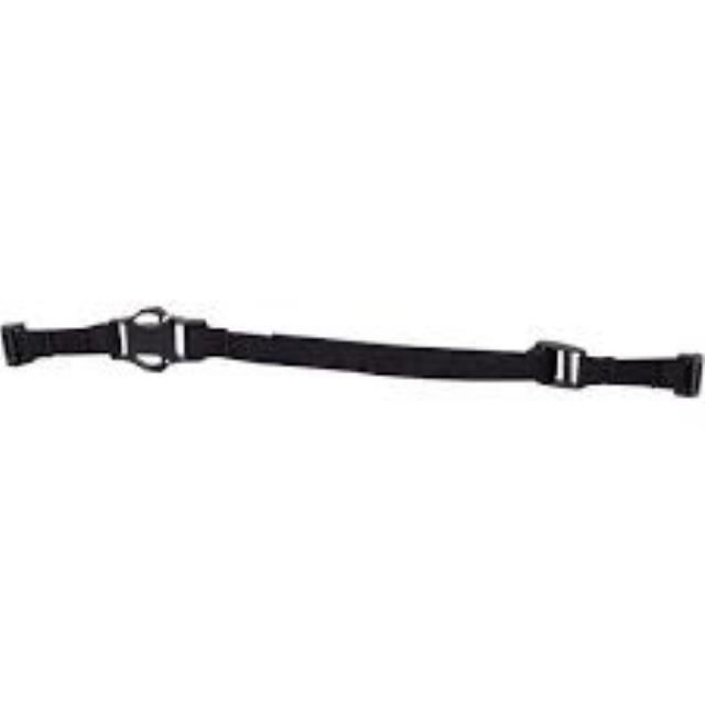 Rental store for CHIN STRAP, W  CLIP in Paris TN