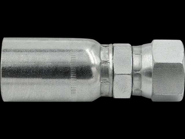 Rental store for ORFS, FEMALE 04x04 in Paris TN