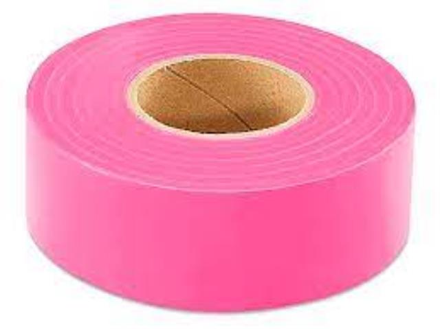 Rental store for FLAGGING ROLL, PINK 300 FT in Paris TN