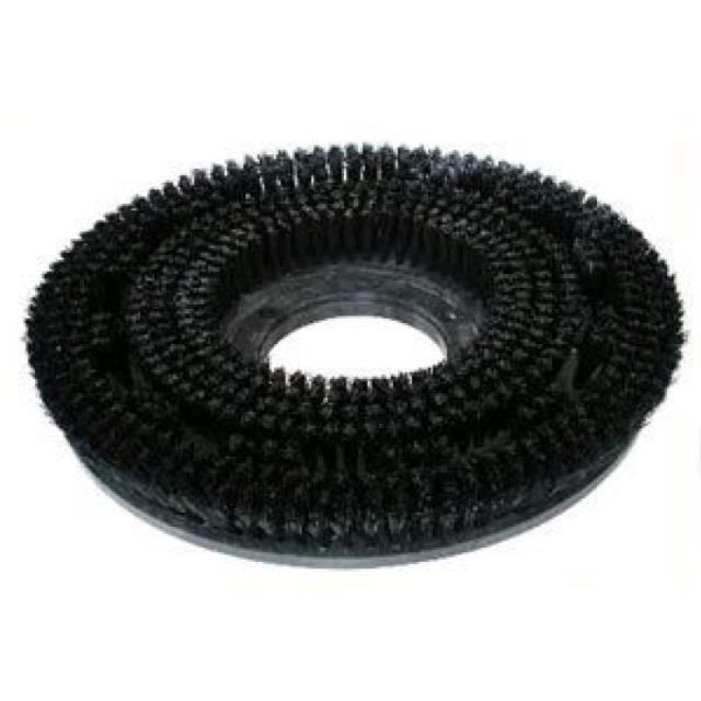 Rental store for BRUSH, FLOOR BUFFER 17  POLYPROPYLENE in Paris TN