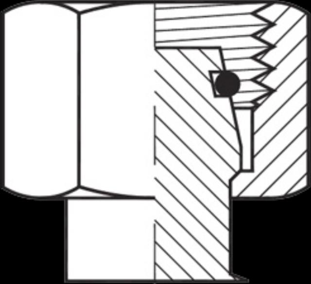 Rental store for ADAPTER, CAP -DIN L  M18X1.5 in Paris TN