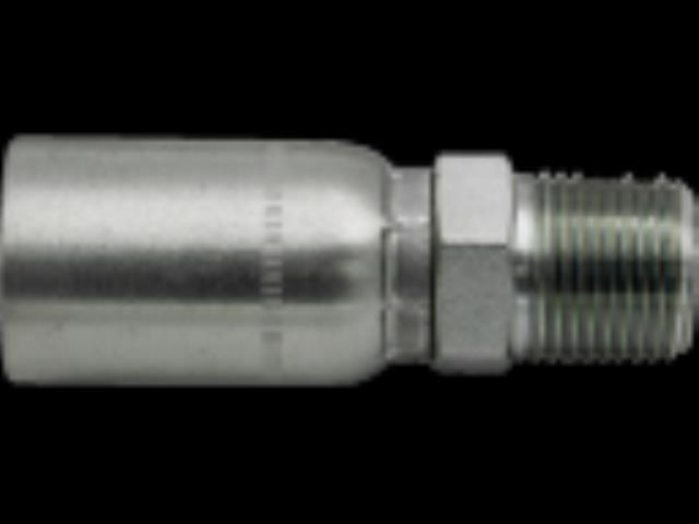 Rental store for MP-16-16   1  Hose x 1  NPTF Male Pipe in Paris TN